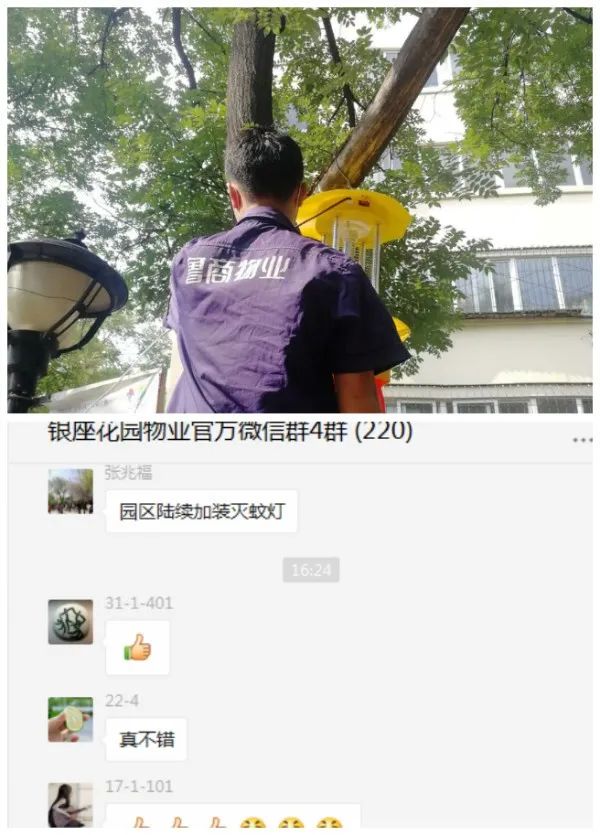 全力打造无蚊蝇社区，鲁商物业在行动