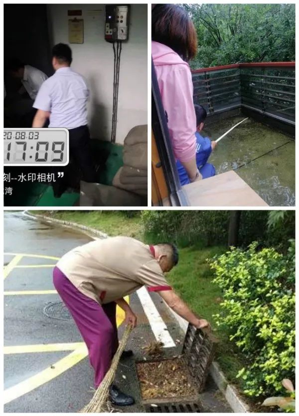 夏日炎炎 园区生活有你们超甜