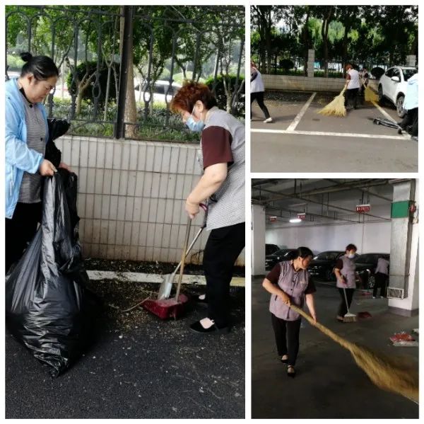 大自然的环境美容师