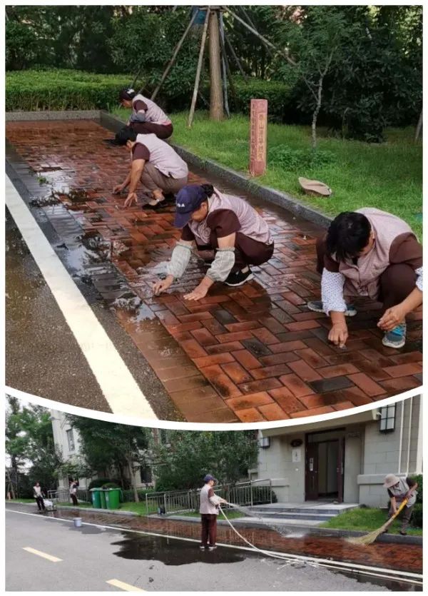 鲁商物业泰安鲁商国际社区项目清理路面苔藓