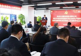 鲁商服务召开2021年度基层党组织书记全面从严治党述责述廉和抓基层党建工作述职会议