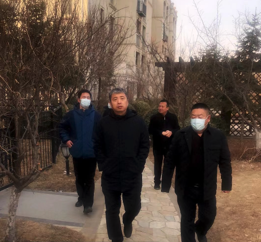 南彩镇政府领导莅临鲁商服务北京蓝岸丽舍项目指导工作
