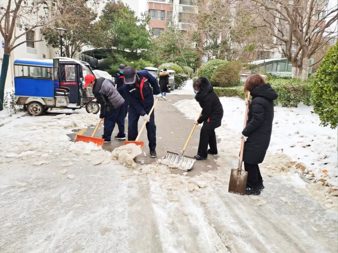 以雪为令，挺膺担当｜鲁商服务党员突击队在行动